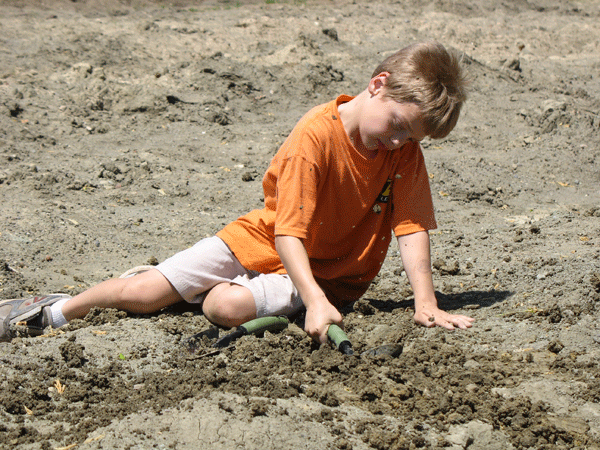 DiggingInDirt DiggingInDirt